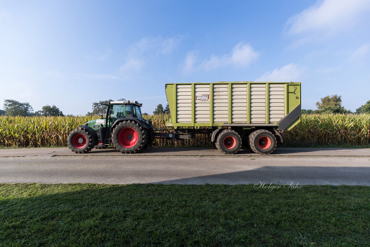 Bild 115 - Maisernte